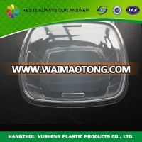 China manufacture professional clear plastic food disposable box